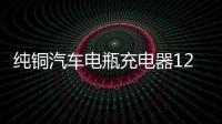 纯铜汽车电瓶充电器12V24V伏大功率充电机小车智能通用脉冲修复型